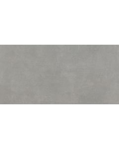 Pamesa Omnia Ash 30x60 matt