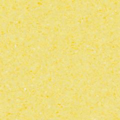 ZERO 5726 Canary